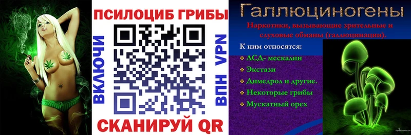 где купить наркоту  Рошаль  Галлюциногенные грибы Psilocybe 